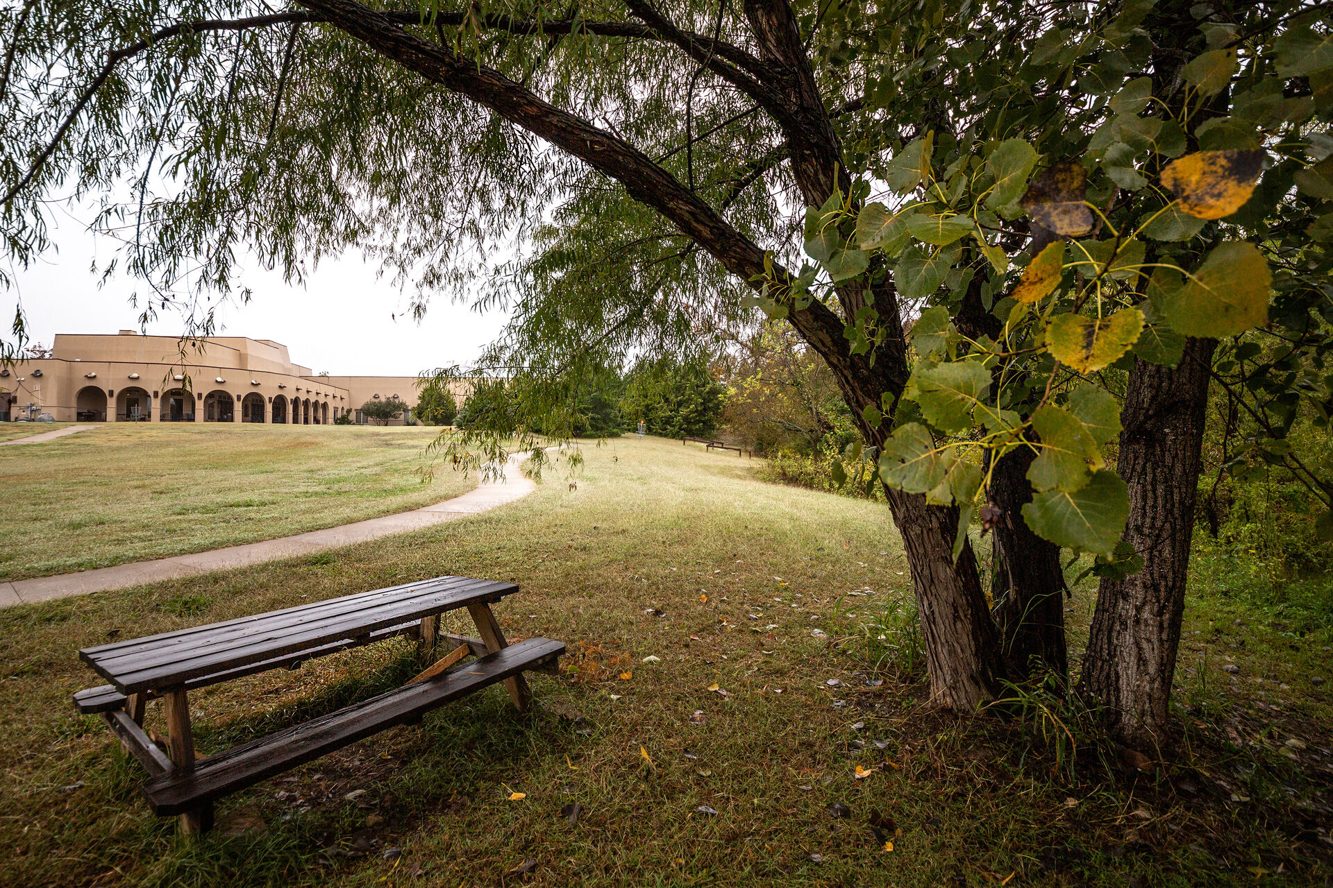 The Meadows Texas