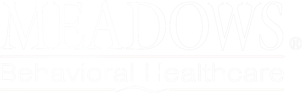 Meadows Behavioral Healthcare