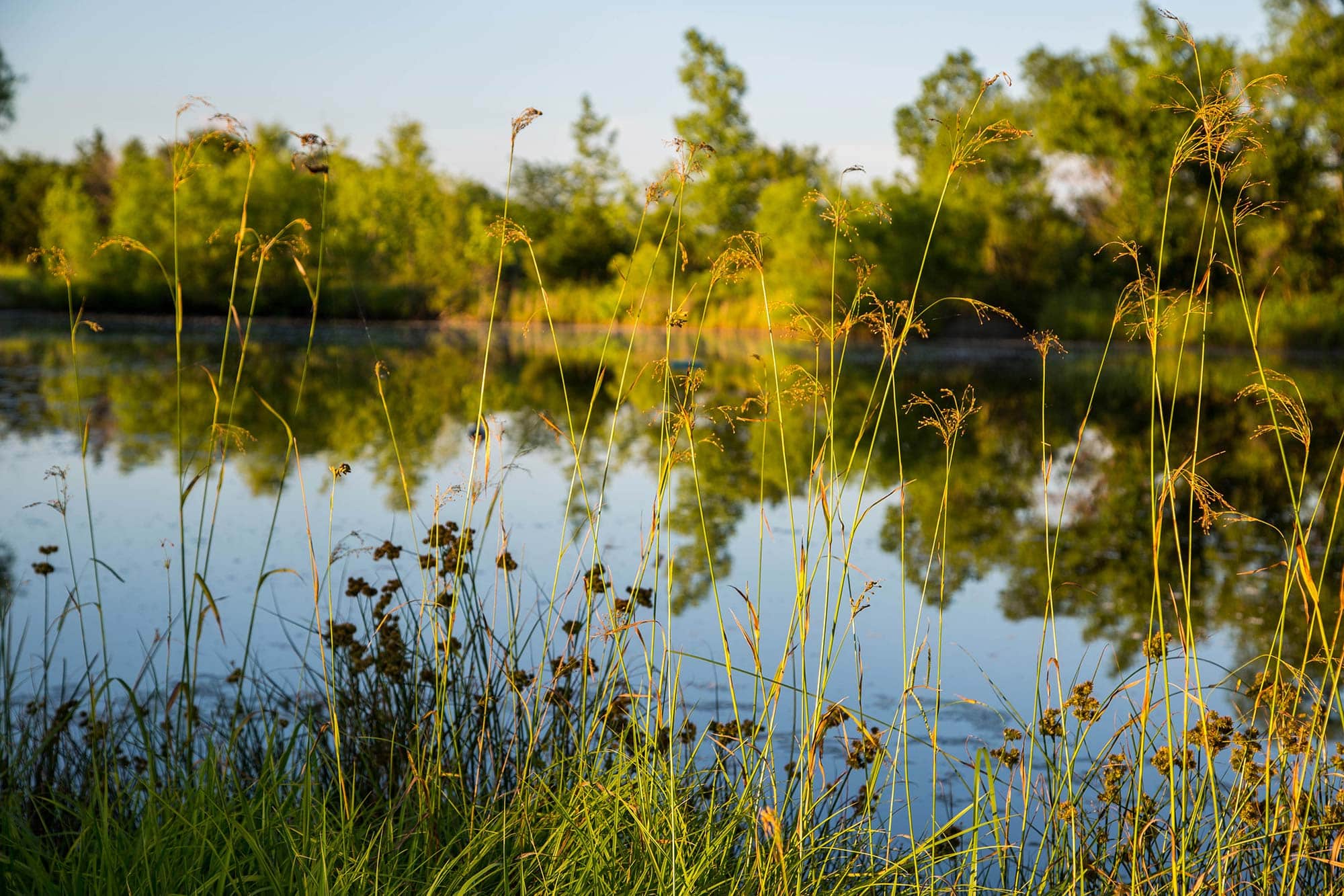 The Meadows Now Offering Treatment in Texas - The Meadows of Wickenburg, AZ