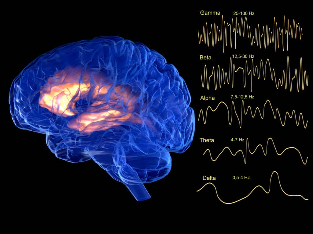 From top to bottom: gamma, beta, alpha, theta and delta waves. Measuring activity in brain for brain mapping therapy.